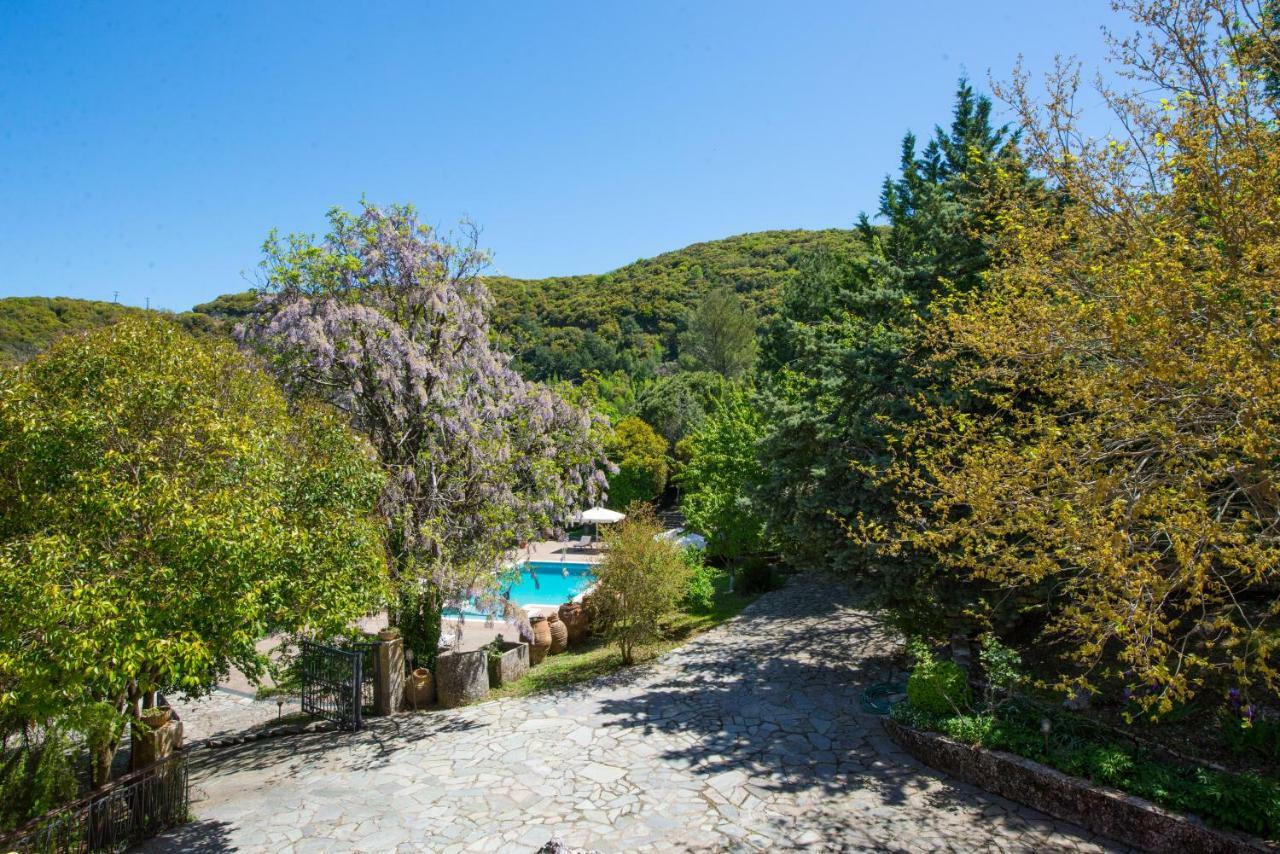 Arete Excellence Apartments, Appartement